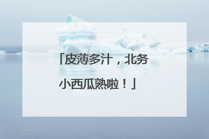 皮薄多汁，北务小西瓜熟啦！