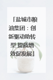 盐城市粮油集团：创新驱动助转型 提质增效促发展