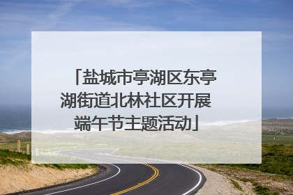 盐城市亭湖区东亭湖街道北林社区开展端午节主题活动