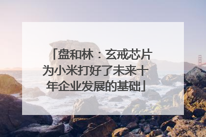 盘和林：玄戒芯片为小米打好了未来十年企业发展的基础