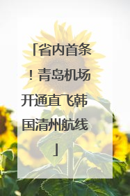 省内首条！青岛机场开通直飞韩国清州航线