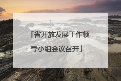 省开放发展工作领导小组会议召开