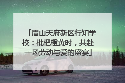眉山天府新区行知学校：枇杷橙黄时，共赴一场劳动与爱的盛宴