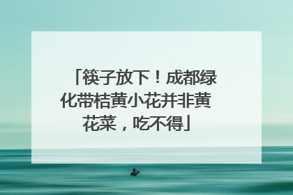 筷子放下！成都绿化带桔黄小花并非黄花菜，吃不得