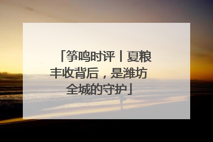 筝鸣时评丨夏粮丰收背后，是潍坊全城的守护