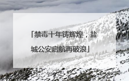 禁毒十年铸辉煌，盐城公安启航再破浪