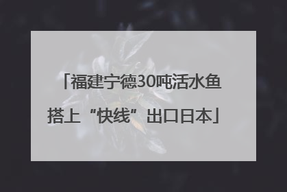 福建宁德30吨活水鱼搭上“快线”出口日本
