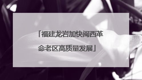 福建龙岩加快闽西革命老区高质量发展