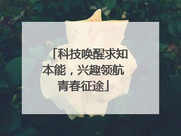科技唤醒求知本能，兴趣领航青春征途