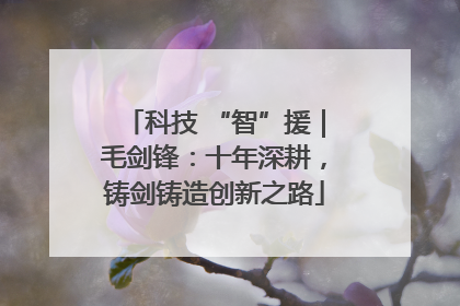 科技 “智”援｜毛剑锋：十年深耕，铸剑铸造创新之路