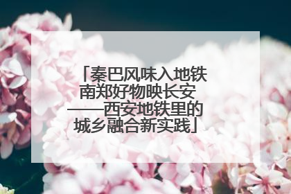 秦巴风味入地铁 南郑好物映长安——西安地铁里的城乡融合新实践