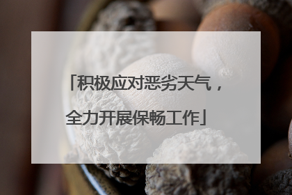 积极应对恶劣天气，全力开展保畅工作