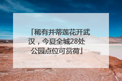 稀有并蒂莲花开武汉，今夏全城28处公园点位可赏荷