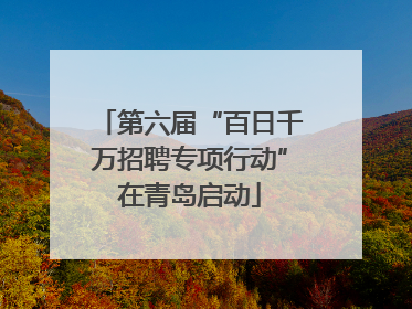 第六届“百日千万招聘专项行动”在青岛启动