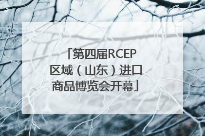 第四届RCEP区域（山东）进口商品博览会开幕