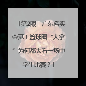 第2眼｜广东省实夺冠！篮球圈“大拿”为何都去看一场中学生比赛？