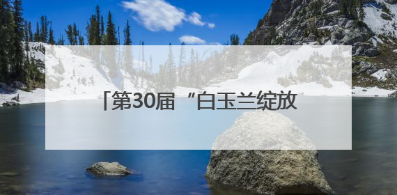 第30届“白玉兰绽放”电视节临港新片区CITY WALK路线