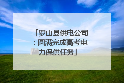 罗山县供电公司：圆满完成高考电力保供任务