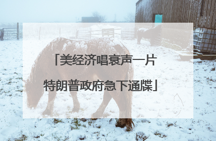 美经济唱衰声一片 特朗普政府急下通牒