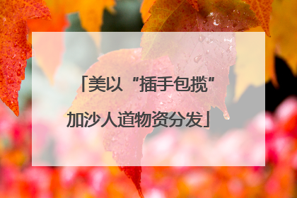 美以“插手包揽”加沙人道物资分发