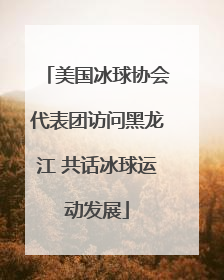 美国冰球协会代表团访问黑龙江 共话冰球运动发展