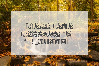 群龙竞渡！龙岗龙舟邀请赛现场超“燃”！_深圳新闻网