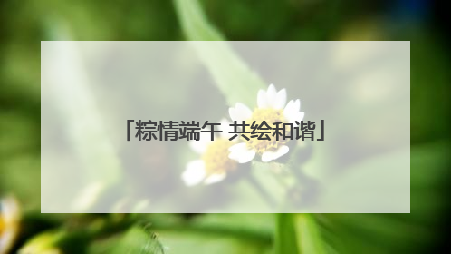 粽情端午 共绘和谐