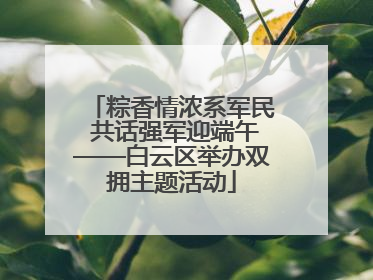粽香情浓系军民 共话强军迎端午——白云区举办双拥主题活动