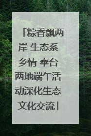 粽香飘两岸 生态系乡情 奉台两地端午活动深化生态文化交流
