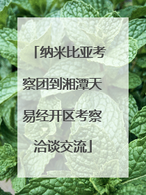 纳米比亚考察团到湘潭天易经开区考察洽谈交流
