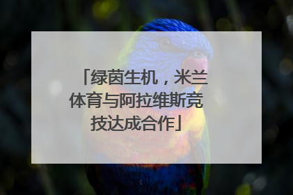 绿茵生机，米兰体育与阿拉维斯竞技达成合作