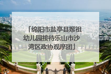 绵阳市盐亭县嫘祖幼儿园接待乐山市沙湾区政协观摩团