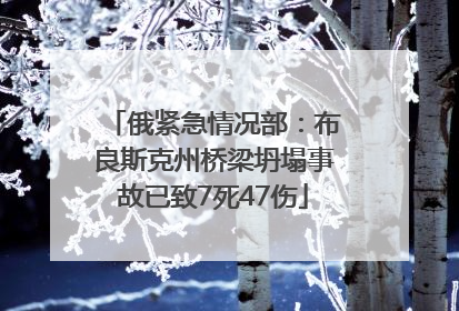 俄紧急情况部：布良斯克州桥梁坍塌事故已致7死47伤