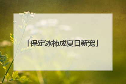 保定冰柿成夏日新宠