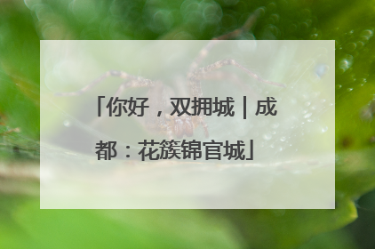 你好，双拥城｜成都：花簇锦官城
