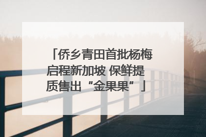 侨乡青田首批杨梅启程新加坡 保鲜提质售出“金果果”