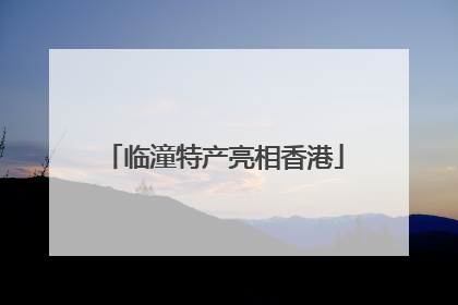 临潼特产亮相香港
