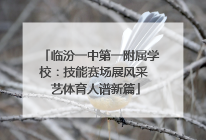 临汾一中第一附属学校：技能赛场展风采 艺体育人谱新篇