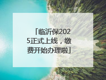 临沂保2025正式上线，缴费开始办理啦