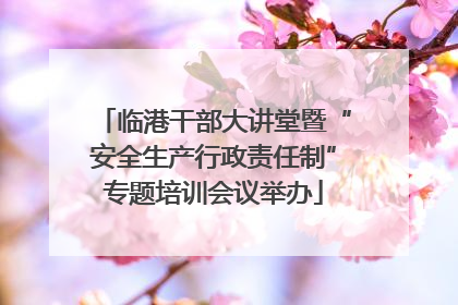 临港干部大讲堂暨“安全生产行政责任制”专题培训会议举办