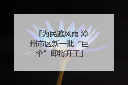 为民遮风雨 漳州市区新一批“巨伞”即将开工