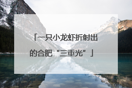 一只小龙虾折射出的合肥“三重光”