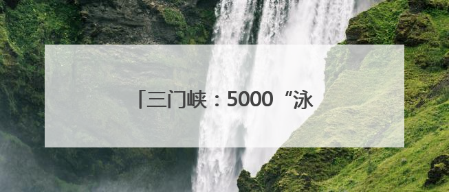 三门峡：5000“泳士”黄河碧波竞风流