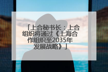 上合秘书长：上合组织将通过《上海合作组织至2035年发展战略》