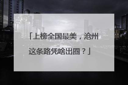 上榜全国最美，沧州这条路凭啥出圈？