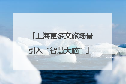 上海更多文旅场景引入“智慧大脑”