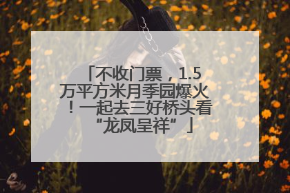不收门票，1.5万平方米月季园爆火！一起去三好桥头看“龙凤呈祥”