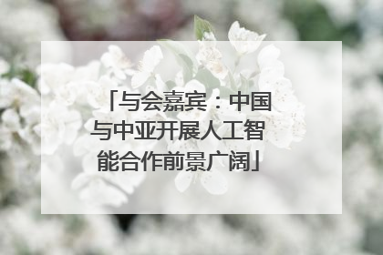 与会嘉宾：中国与中亚开展人工智能合作前景广阔