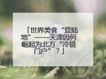 世界美食“登陆地”——天津因何崛起为北方“冷链门户”？