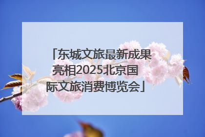 东城文旅最新成果亮相2025北京国际文旅消费博览会